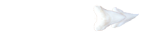 &nbsp;