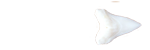 &nbsp;