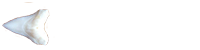 previous